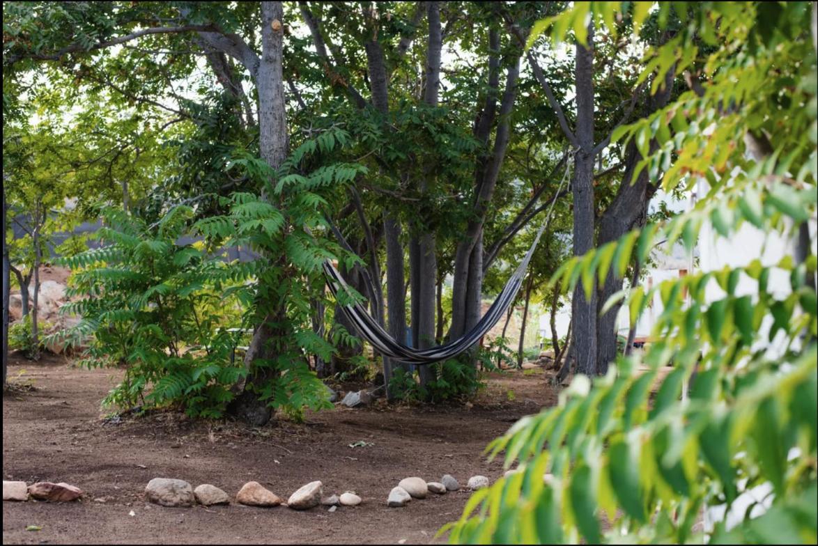 Socal Camping Кернвілль Екстер'єр фото